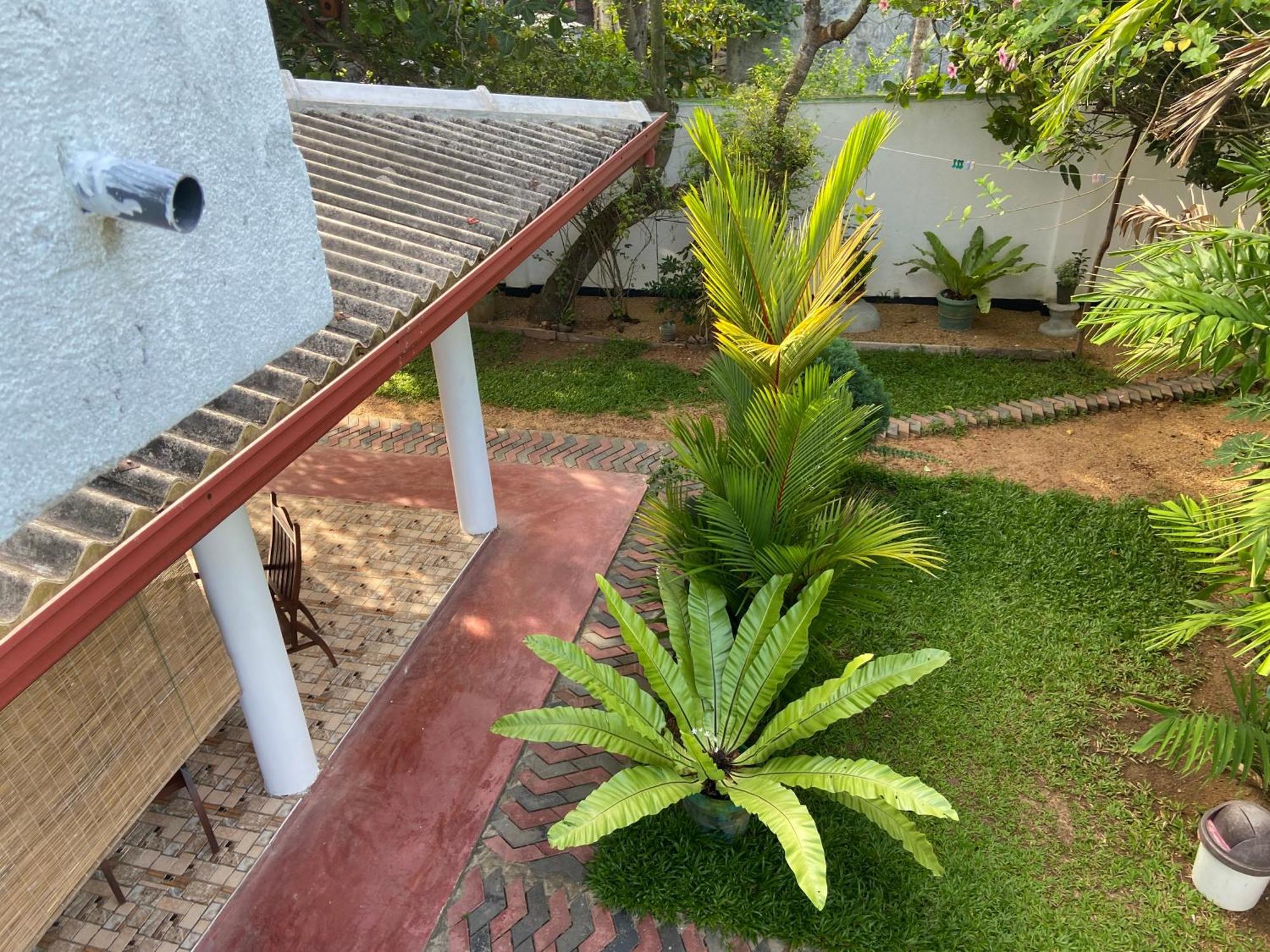 Mirissa Gold Rush Villa Εξωτερικό φωτογραφία